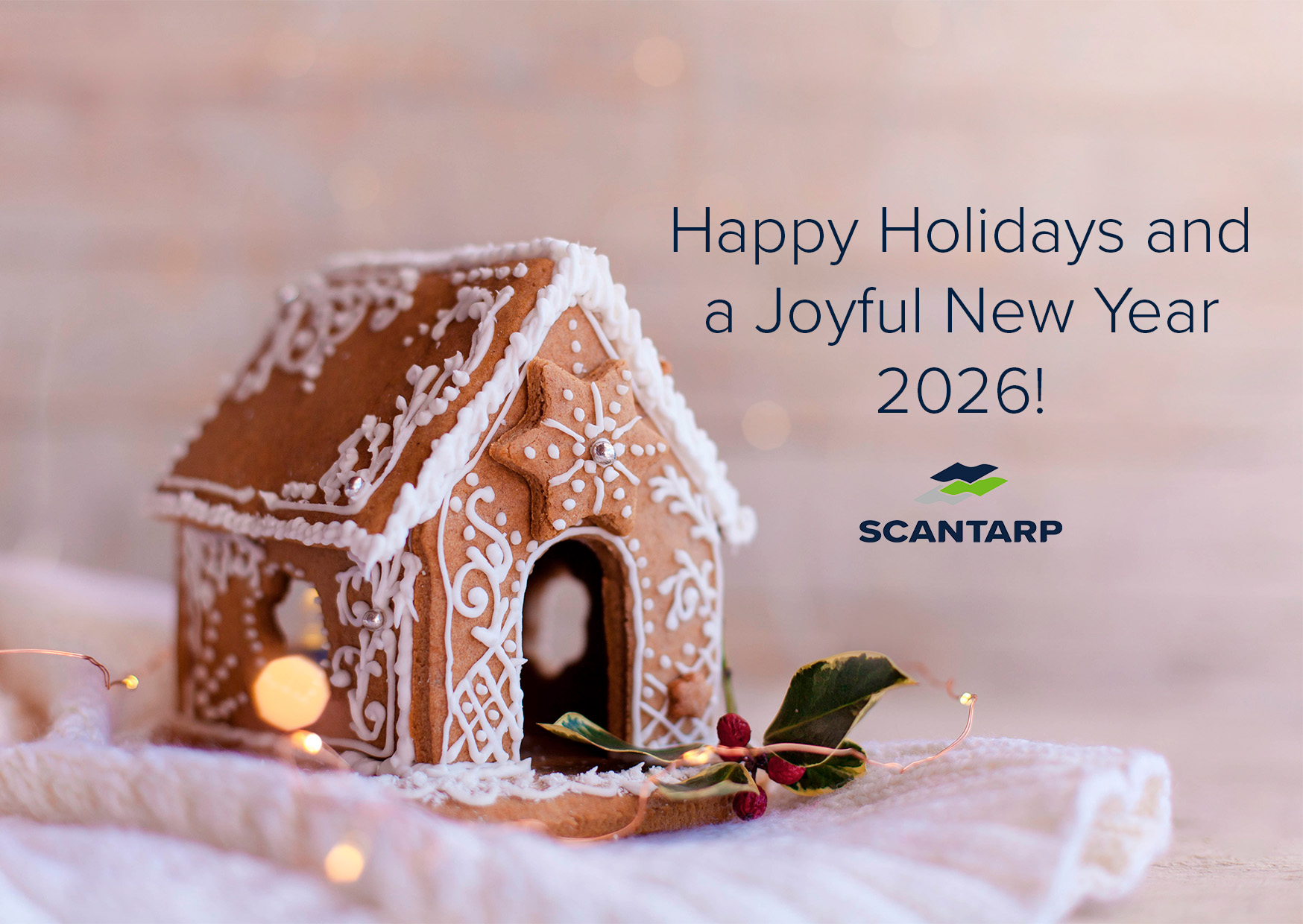 Happy Holidays 2025.